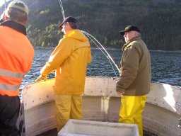 Norwegen 2008 Rundereim
